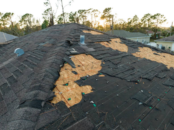 Best Cold Roofs  in Elkhart, TX